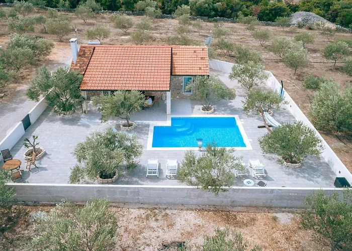 Lovely In וודיצה